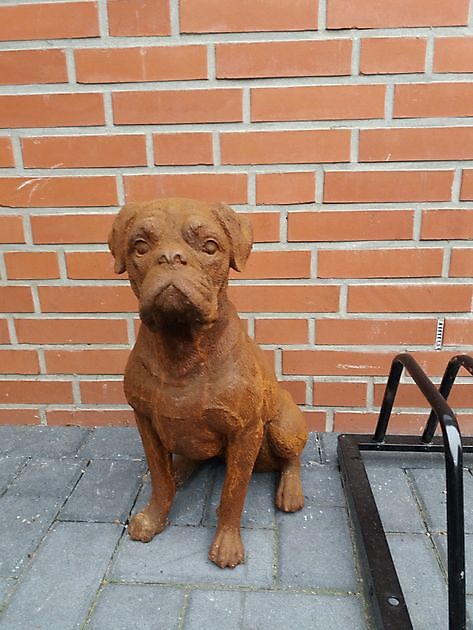 Dogue de Bordeaux Boxer - Decobyjo - Bellingwolde