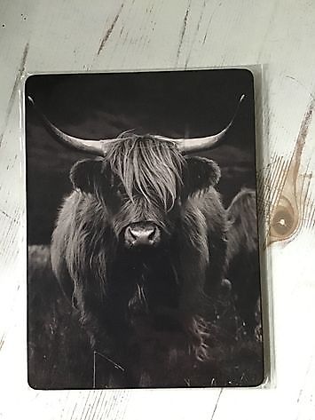 Scottish highlander on old plate Decobyjo - Bellingwolde