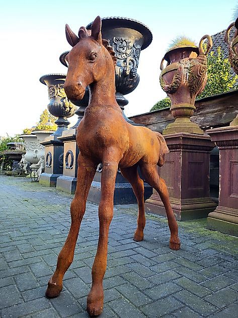 Cast iron foal - Decobyjo - Bellingwolde