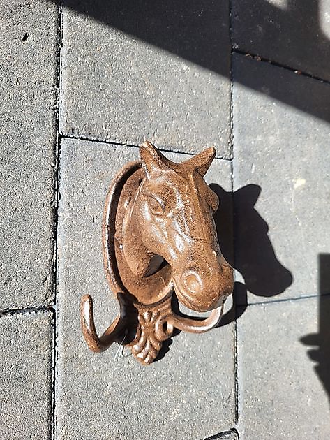 Patère murale en fonte tête de cheval Decobyjo - Bellingwolde