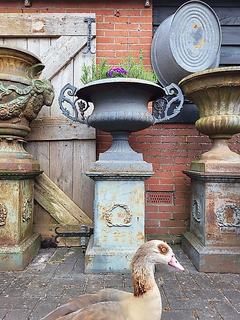 Blauw verweerde oorvaas op sokkel Decobyjo - Bellingwolde