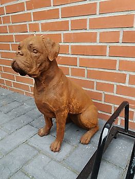 Dogue de Bordeaux Boxer Decobyjo - Bellingwolde