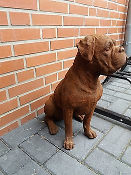 Bordeauxdogge Boxer Decobyjo - Bellingwolde