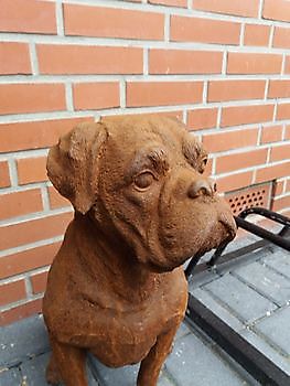 Dogue de Bordeaux Boxer Decobyjo - Bellingwolde