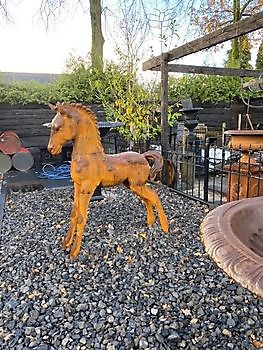 Cast iron foal Decobyjo - Bellingwolde