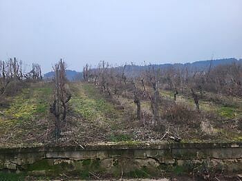 Decobyjo a eu une belle livraison à la Moselle dans le sud de l`Allemagne dimanche dernier ! Decobyjo - Bellingwolde